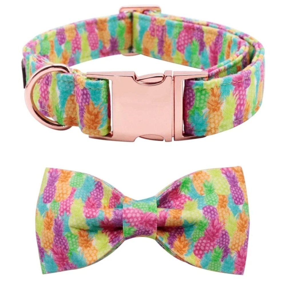 Lionet Paws Colorful Pineapple Dog Collar with Bowtie Size M